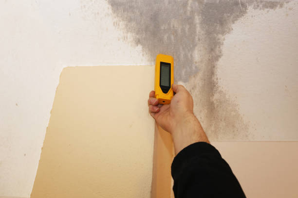 Best Indoor Air Quality Assessment  in Pine Hill, NJ