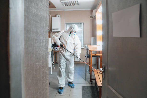 Professional Mold Removal in Pine Hill, NJ